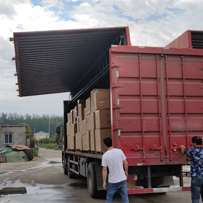 柴桑区扎囊县：物流专线的高效货运之旅